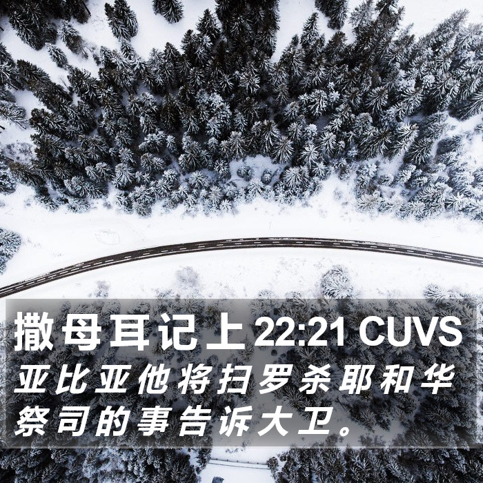 撒 母 耳 记 上 22:21 CUVS Bible Study