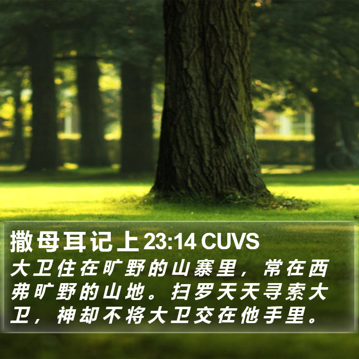 撒 母 耳 记 上 23:14 CUVS Bible Study
