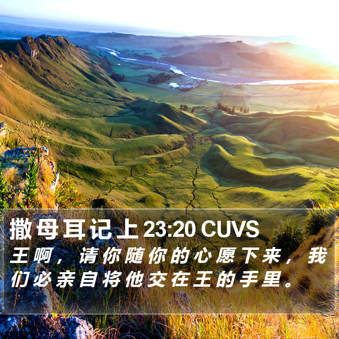 撒 母 耳 记 上 23:20 CUVS Bible Study