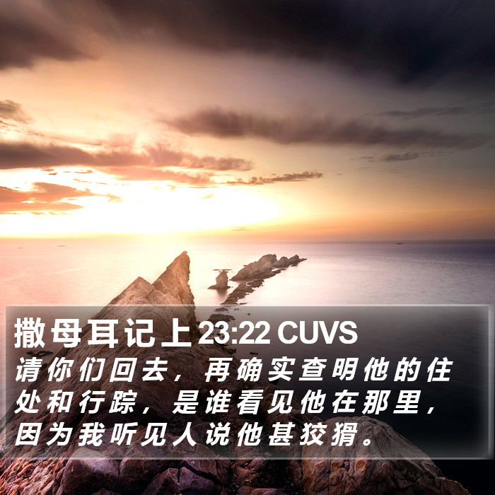 撒 母 耳 记 上 23:22 CUVS Bible Study