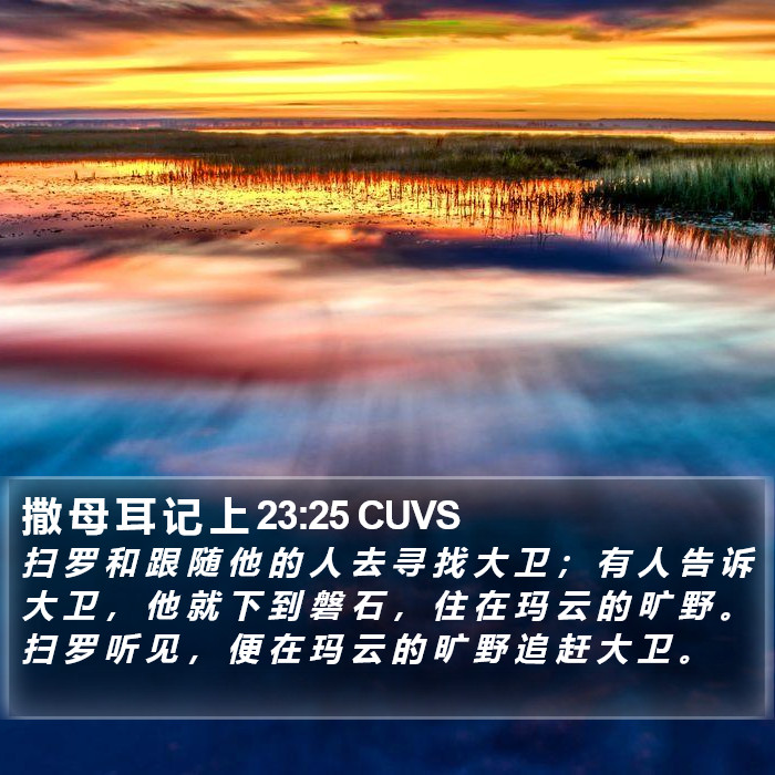 撒 母 耳 记 上 23:25 CUVS Bible Study