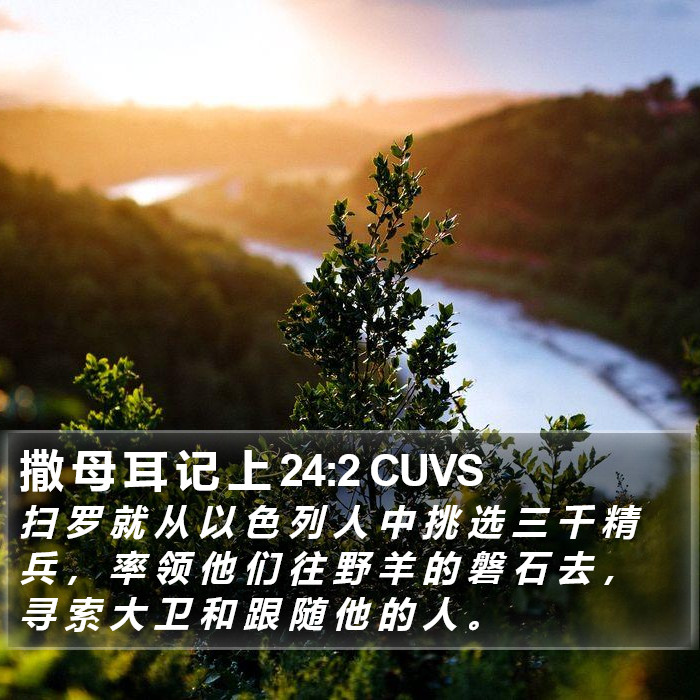 撒 母 耳 记 上 24:2 CUVS Bible Study