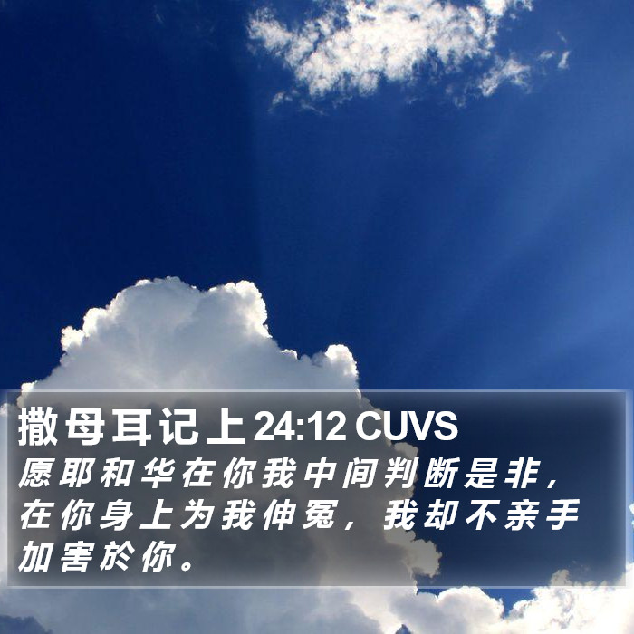 撒 母 耳 记 上 24:12 CUVS Bible Study