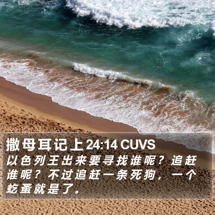 撒 母 耳 记 上 24:14 CUVS Bible Study