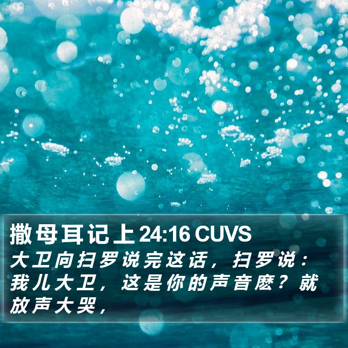 撒 母 耳 记 上 24:16 CUVS Bible Study