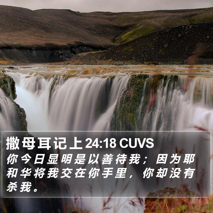 撒 母 耳 记 上 24:18 CUVS Bible Study