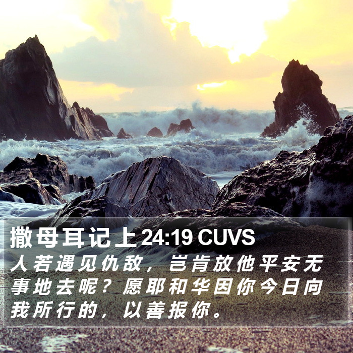 撒 母 耳 记 上 24:19 CUVS Bible Study