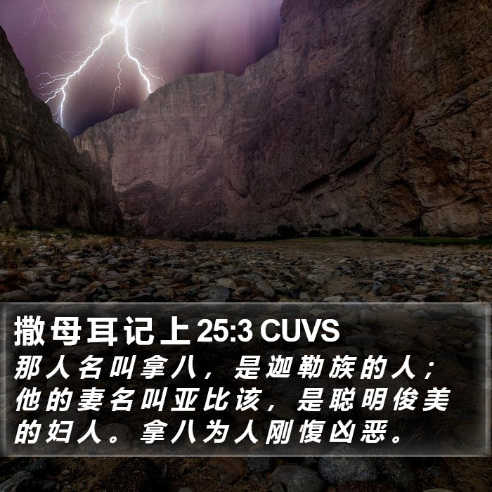 撒 母 耳 记 上 25:3 CUVS Bible Study