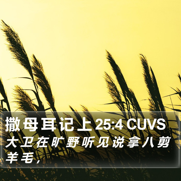 撒 母 耳 记 上 25:4 CUVS Bible Study