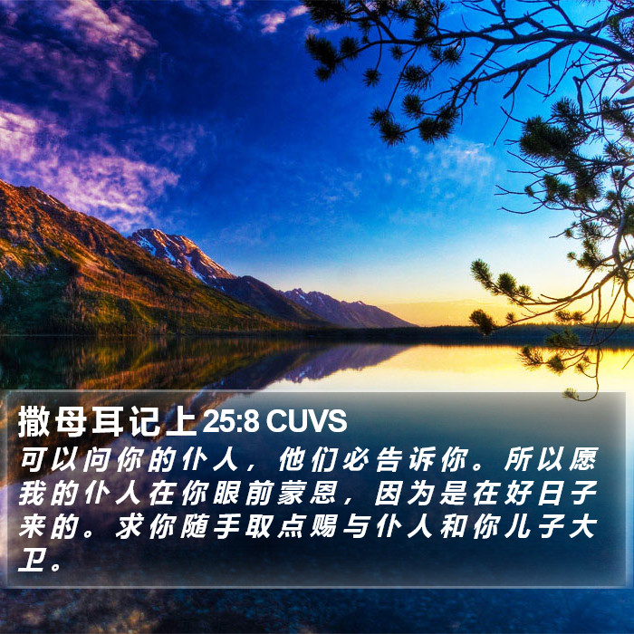 撒 母 耳 记 上 25:8 CUVS Bible Study