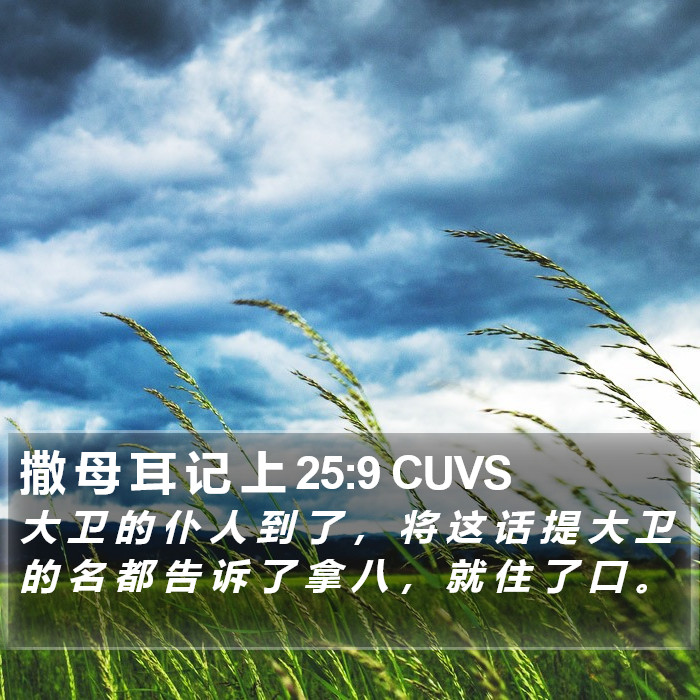 撒 母 耳 记 上 25:9 CUVS Bible Study