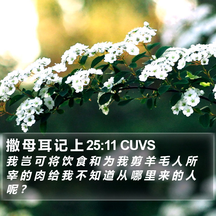 撒 母 耳 记 上 25:11 CUVS Bible Study