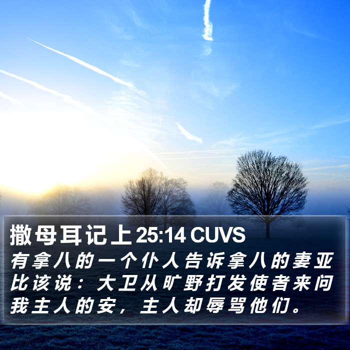 撒 母 耳 记 上 25:14 CUVS Bible Study