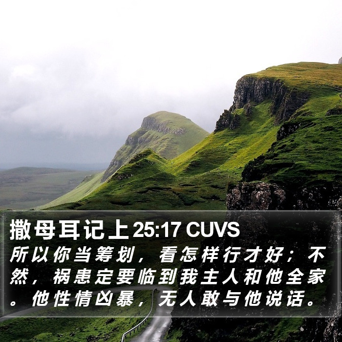 撒 母 耳 记 上 25:17 CUVS Bible Study