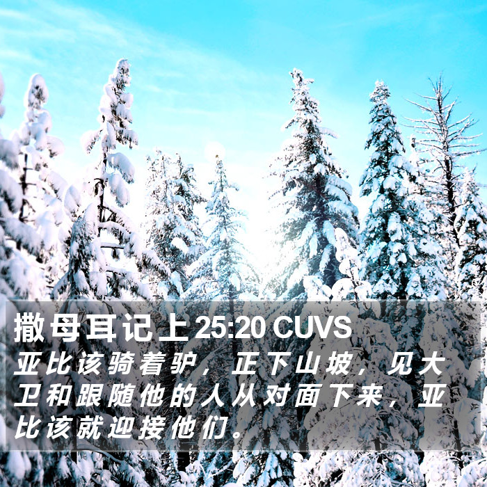 撒 母 耳 记 上 25:20 CUVS Bible Study