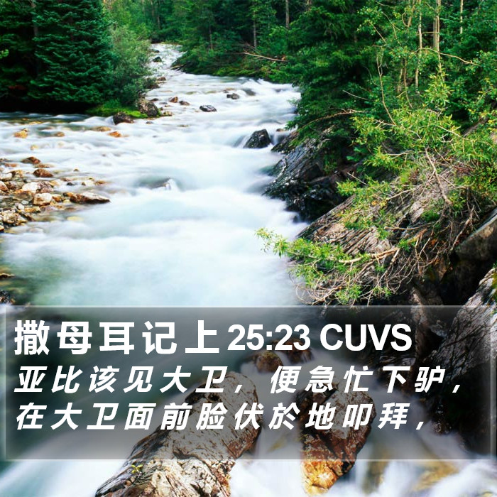 撒 母 耳 记 上 25:23 CUVS Bible Study