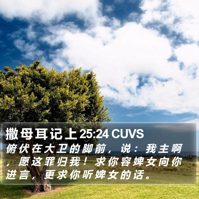 撒 母 耳 记 上 25:24 CUVS Bible Study