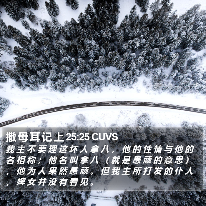 撒 母 耳 记 上 25:25 CUVS Bible Study