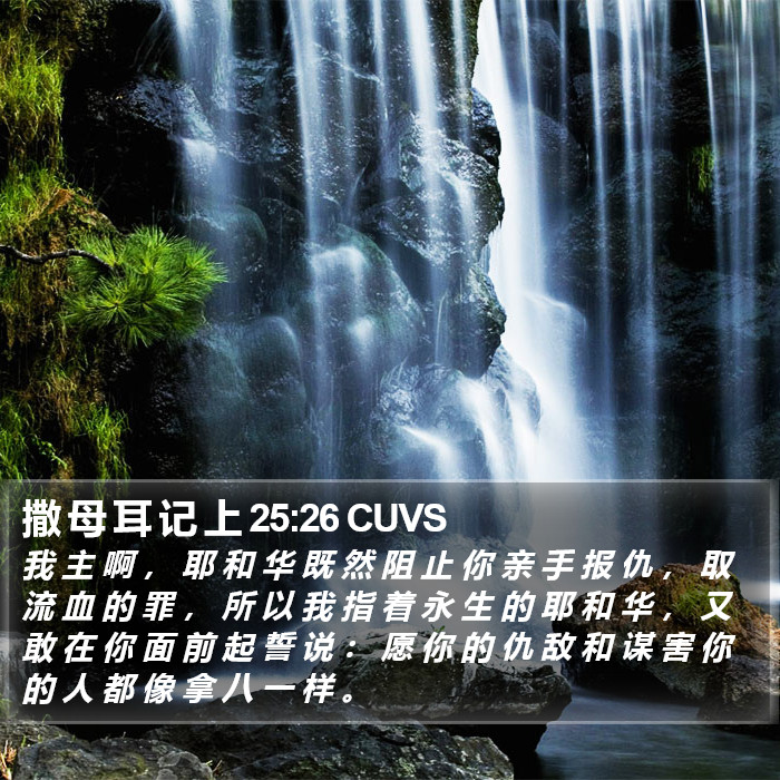 撒 母 耳 记 上 25:26 CUVS Bible Study