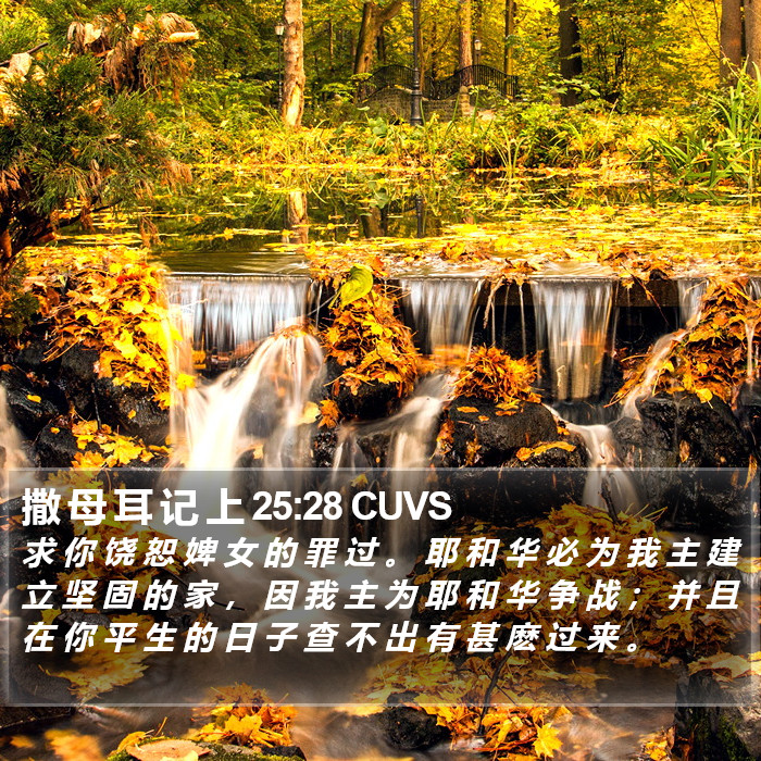 撒 母 耳 记 上 25:28 CUVS Bible Study