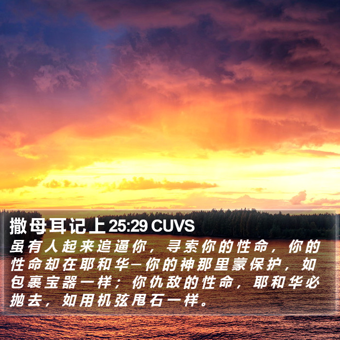 撒 母 耳 记 上 25:29 CUVS Bible Study