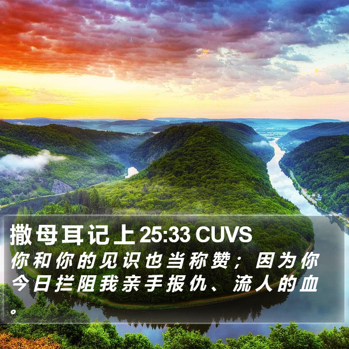 撒 母 耳 记 上 25:33 CUVS Bible Study