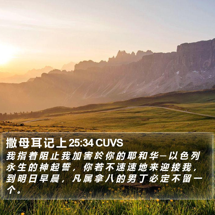 撒 母 耳 记 上 25:34 CUVS Bible Study