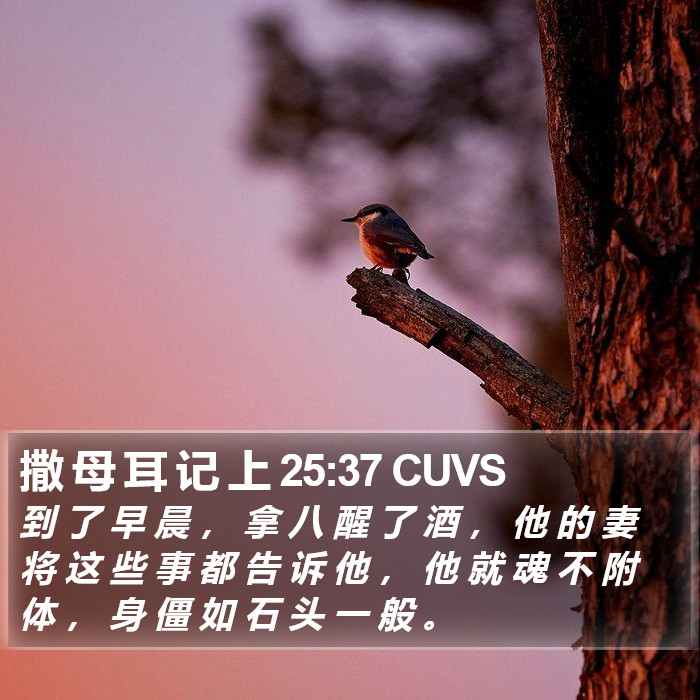 撒 母 耳 记 上 25:37 CUVS Bible Study