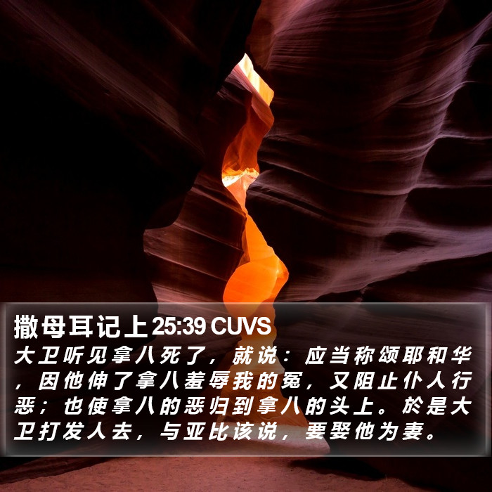 撒 母 耳 记 上 25:39 CUVS Bible Study