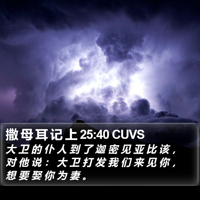 撒 母 耳 记 上 25:40 CUVS Bible Study