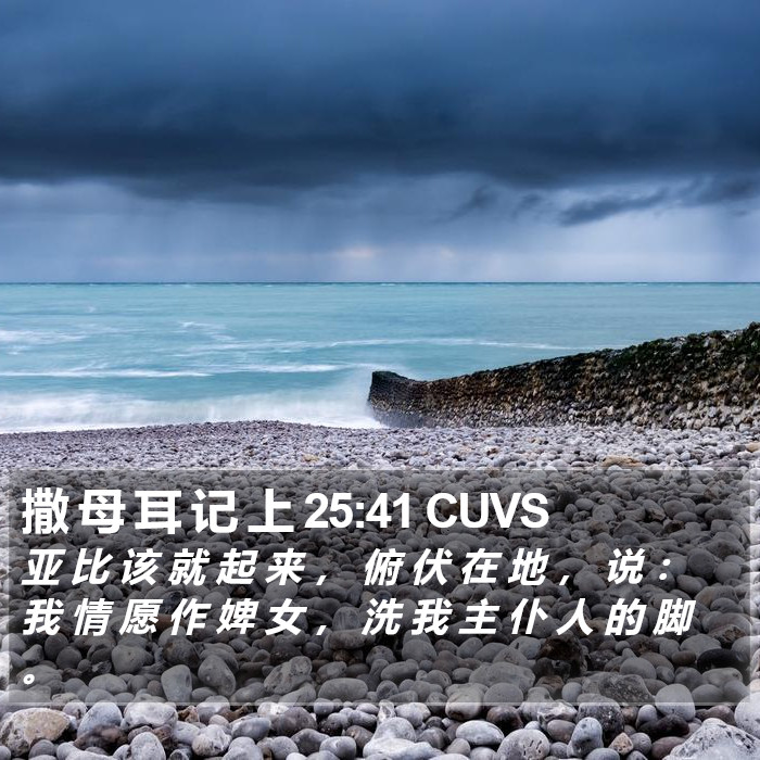 撒 母 耳 记 上 25:41 CUVS Bible Study