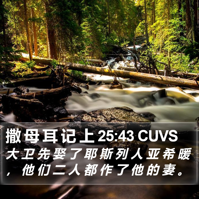 撒 母 耳 记 上 25:43 CUVS Bible Study