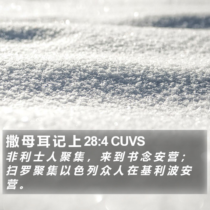 撒 母 耳 记 上 28:4 CUVS Bible Study