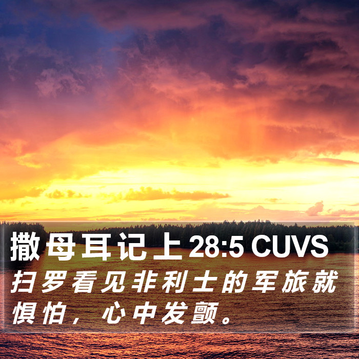 撒 母 耳 记 上 28:5 CUVS Bible Study