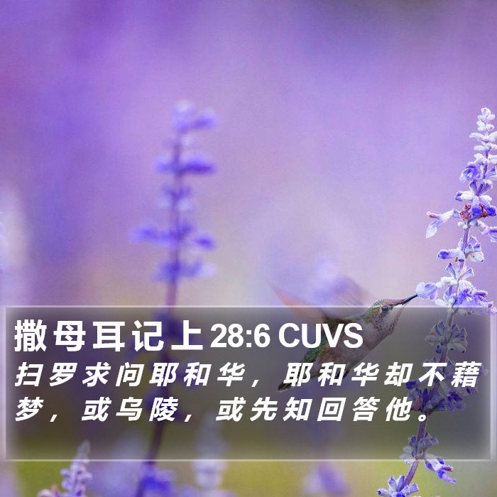 撒 母 耳 记 上 28:6 CUVS Bible Study