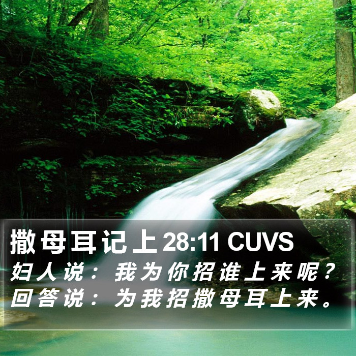 撒 母 耳 记 上 28:11 CUVS Bible Study