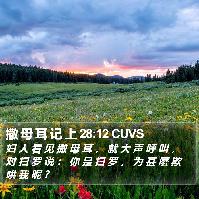 撒 母 耳 记 上 28:12 CUVS Bible Study