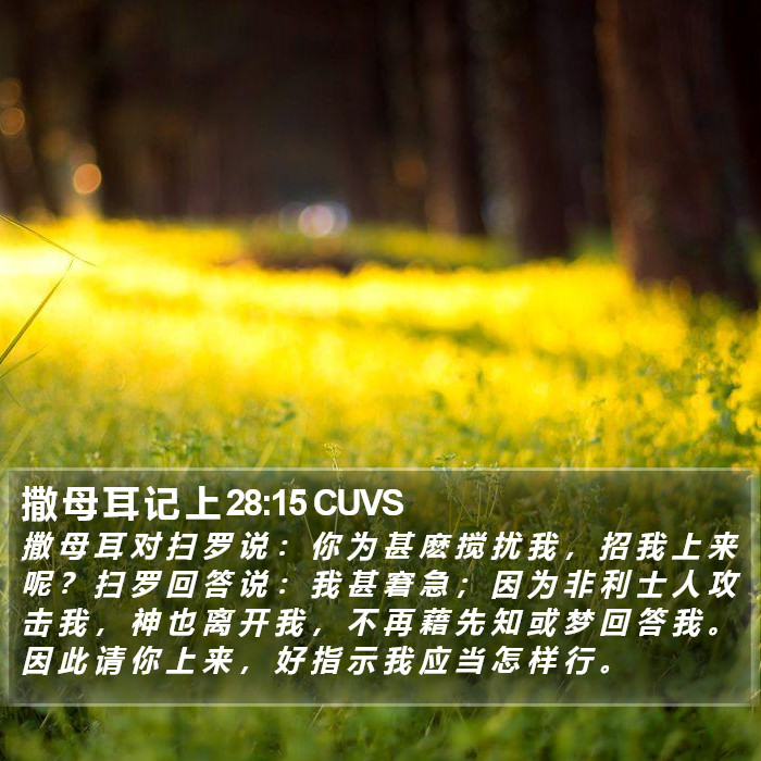 撒 母 耳 记 上 28:15 CUVS Bible Study