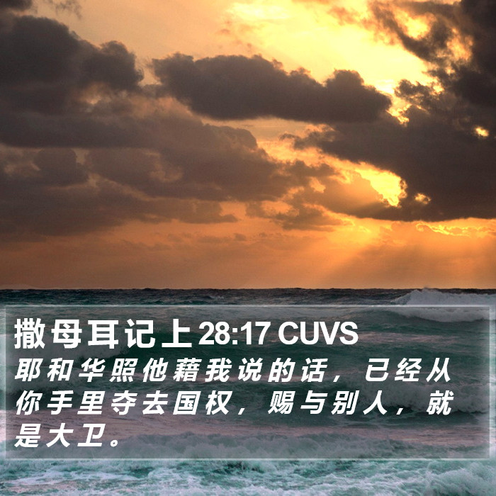 撒 母 耳 记 上 28:17 CUVS Bible Study