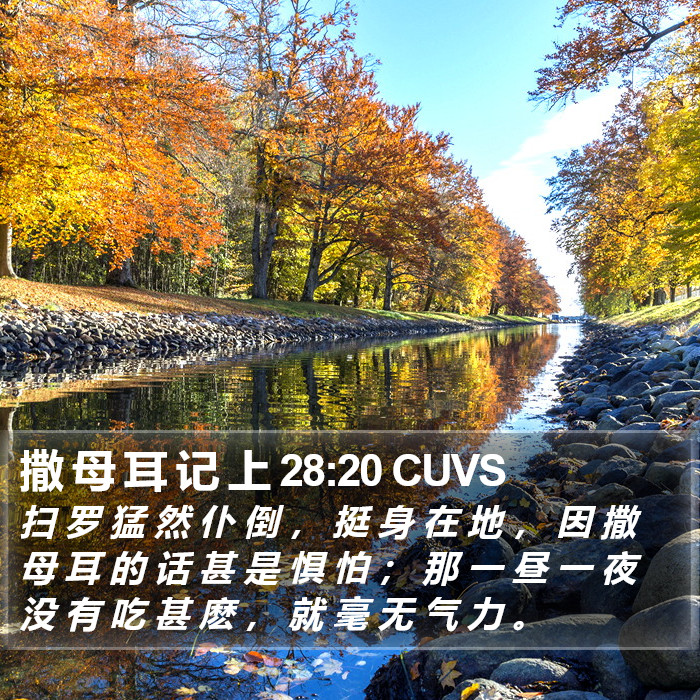 撒 母 耳 记 上 28:20 CUVS Bible Study