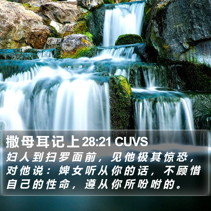 撒 母 耳 记 上 28:21 CUVS Bible Study