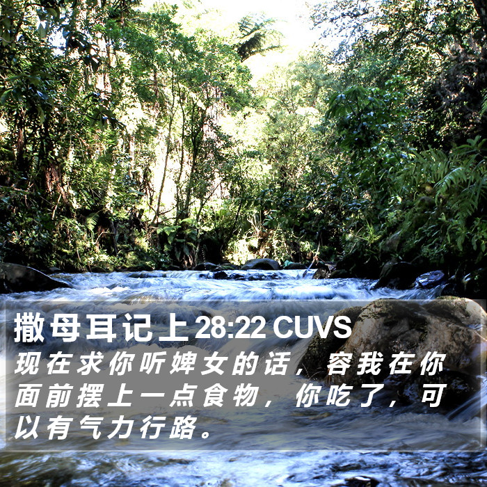 撒 母 耳 记 上 28:22 CUVS Bible Study