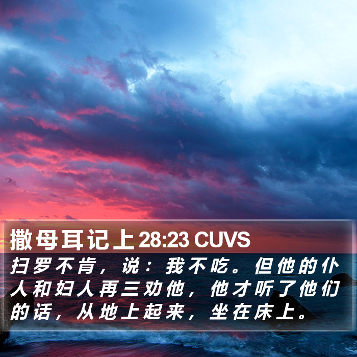 撒 母 耳 记 上 28:23 CUVS Bible Study