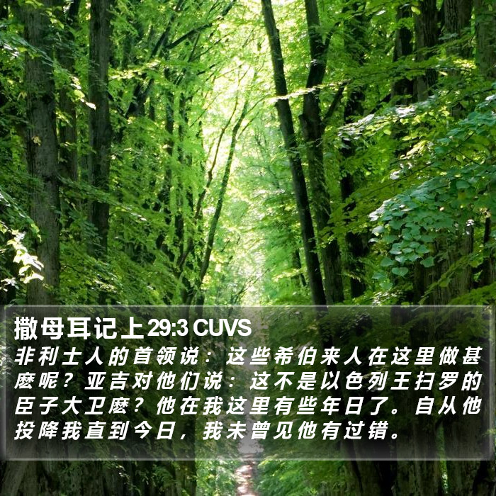 撒 母 耳 记 上 29:3 CUVS Bible Study
