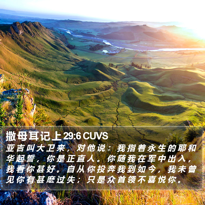 撒 母 耳 记 上 29:6 CUVS Bible Study