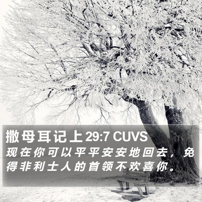 撒 母 耳 记 上 29:7 CUVS Bible Study