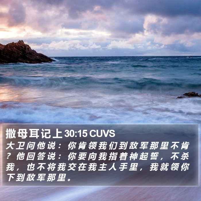 撒 母 耳 记 上 30:15 CUVS Bible Study