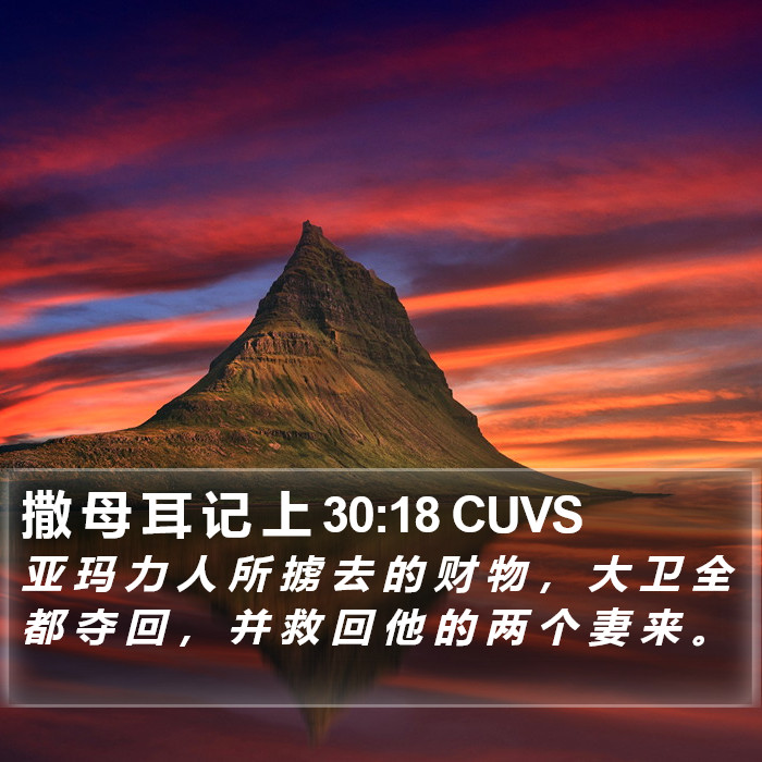 撒 母 耳 记 上 30:18 CUVS Bible Study