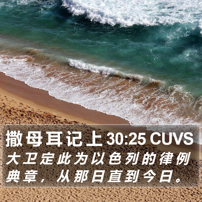 撒 母 耳 记 上 30:25 CUVS Bible Study