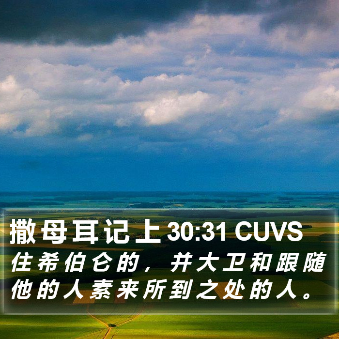 撒 母 耳 记 上 30:31 CUVS Bible Study